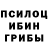Псилоцибиновые грибы прущие грибы Randy Kreps