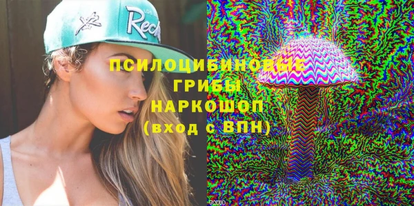 крисы Алексин