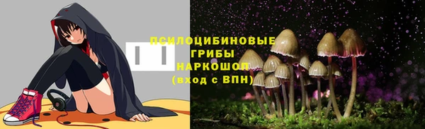 крисы Алексин